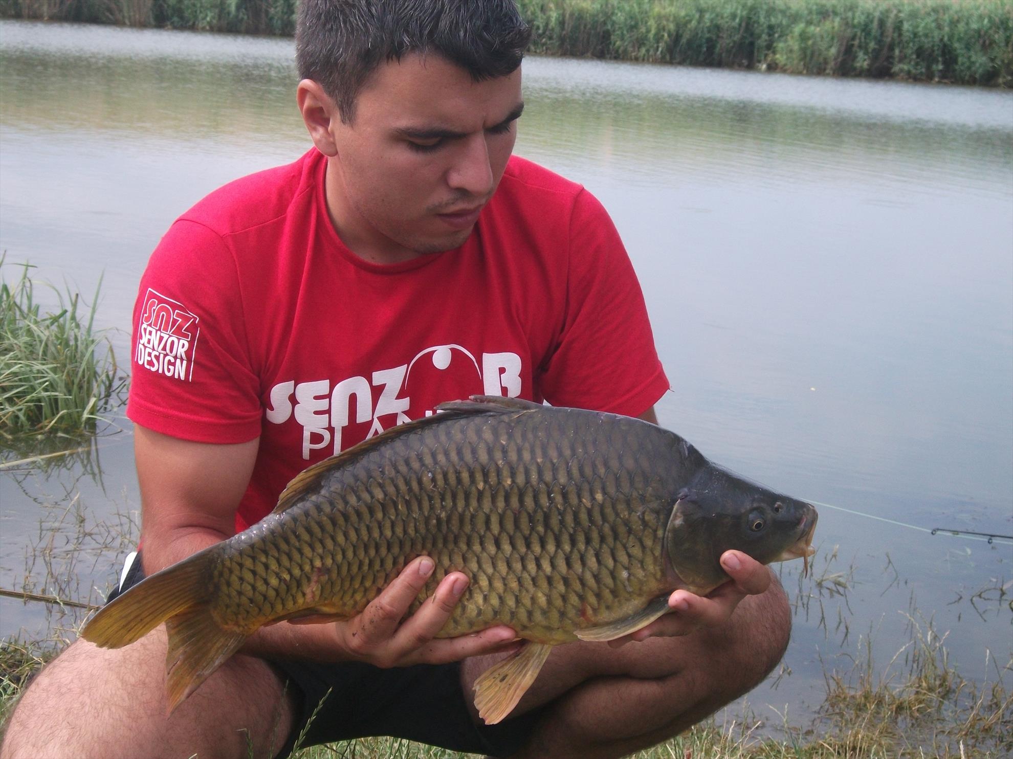 Walter Maracineanu 4 - 5 iul. - dscf0586.jpg